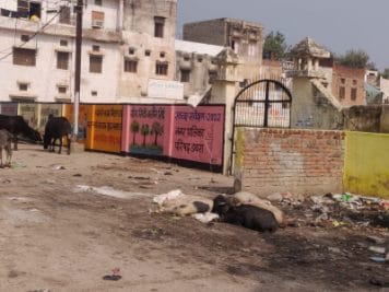 दीवारों पर स्वच्छता जमीन पर गंदगी, कैसे बनेंगे NO.1?