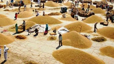 Mandi bhav: 22 फरवरी 2022 के Today’s Mandi Bhav के लिए पढ़े सबसे विश्वसनीय खबर