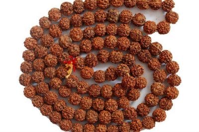 धार्मिक कर्मों से साथ -साथ रुद्राक्ष है स्वास्थ के लिए भी लाभकारी , कैंसर को भी कर सकता है ठीक