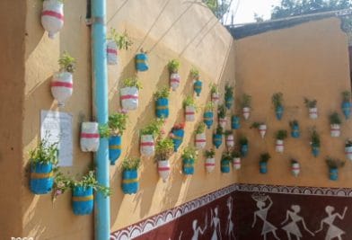 कॉम्प्लेक्स ने दीवालों पर लगाये बोतलों में पौधे, अब लोगों के लिए बना आकर्षण का केंद्र