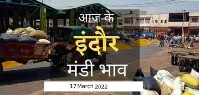 Mandi bhav: 17 मार्च 2022 के Today’s Mandi Bhav के लिए पढ़े सबसे विश्वसनीय खबर