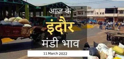 Mandi bhav: 11 मार्च 2022 के Today’s Mandi Bhav के लिए पढ़े सबसे विश्वसनीय खबर
