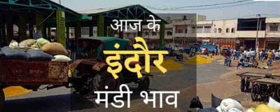 Mandi Bhav: इंदौर में आज अनाज और सब्जी का दाम, देखें 27 अक्टूबर 2022 का मंडी भाव