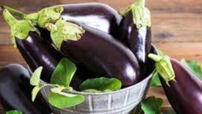 Lifestyle: बैगन से नफरत करने वाले इसके अमेजिंग गुण जानकर करने लगेंगे प्यार