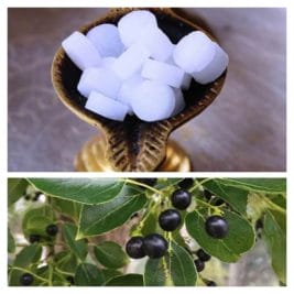 औषधीय गुणों से भरपूर होता है “कपूर”, मोटापे ने भी दिला सकता है निजात