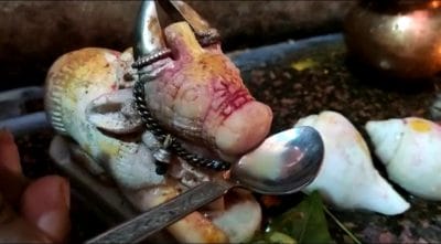 भगवान शिव के वाहन नंदी को दूध पिलाने मंदिरों में उमड़ रही श्रद्धालुओं की भीड़