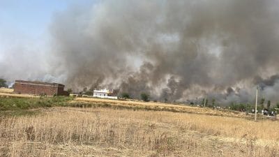 Morena News: सिलबिला गांव के गेहूं के खेतों में लगी भीषण आग, कई क्विंटल गेहूं जलकर खाक