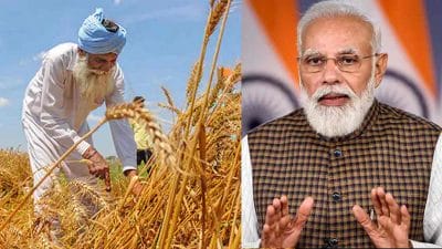 Wheat Export Ban : केंद्र सरकार का बड़ा फैसला, गेहूं निर्यात पर तत्काल प्रभाव से लगाई रोक, जाने क्या है प्रमुख वजह
