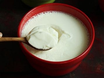 Curd Benefits in Summer : गर्मियों के दिनों में रोजाना एक कटोरी दही अमृत से कम नहीं, जानें इसके फायदे