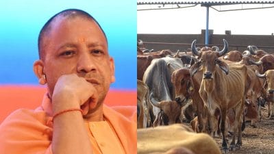सीएम योगी आदित्यनाथ पर गलत पोस्ट करना 15 साल के लड़के को पड़ा भारी, मिली ऐसी सजा की दोबारा नहीं करेगा पोस्ट
