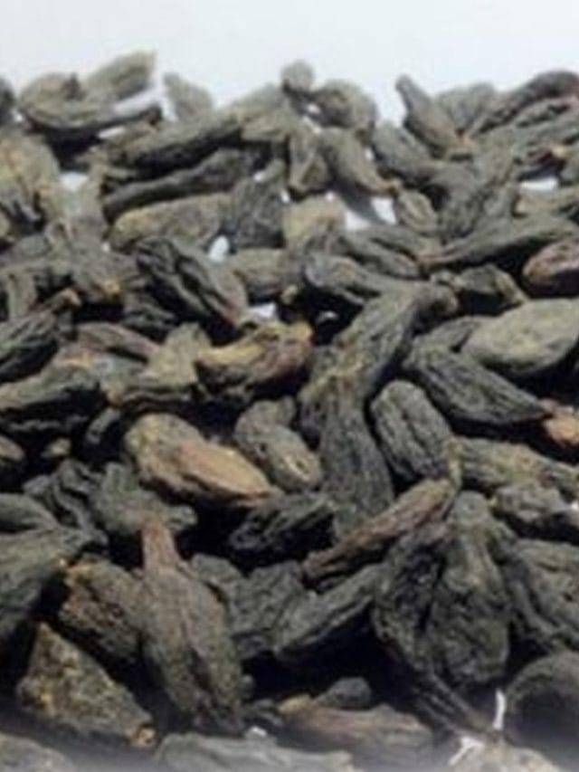 हरड़ के चमत्कारिक फायदे,  बवासीर में दिला सकता है राहत