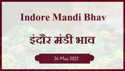 Mandi bhav: 26 मई 2022 के Today’s Mandi Bhav के लिए पढ़े सबसे विश्वसनीय खबर