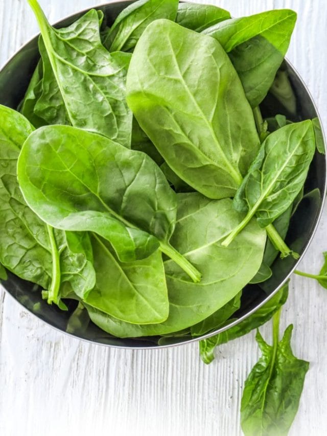हर रोज खाएंगे एक कटोरी पालक, तभी मिलेगा आपकी सेहत को ये लाभ