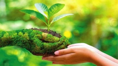 World Environment Day 2022 : विश्व पर्यावरण दिवस पर लें पर्यावरण संरक्षण का संकल्प, जानिये ये जरूरी बातें