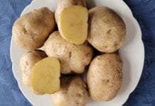 Ackersegen_(potato)_2