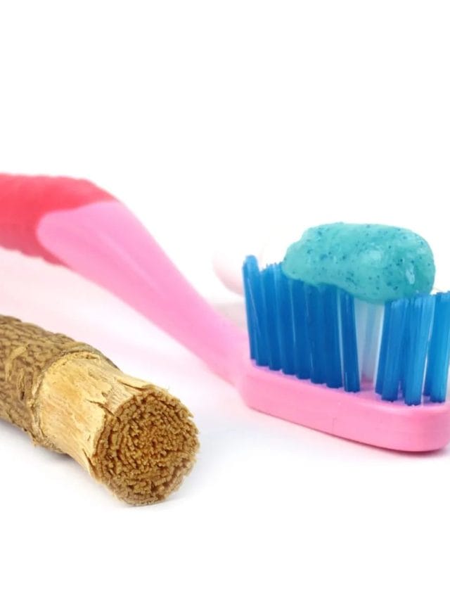 क्या आप जानते हैं टूथब्रश के आविष्कार की कहानी