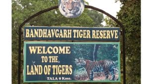 MP Tiger Reserves