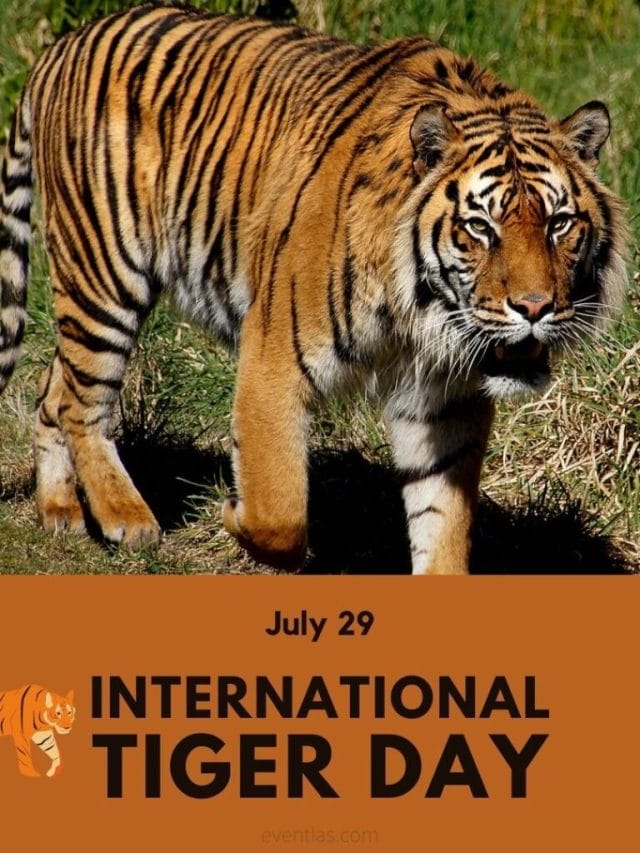 International Tiger Day 2022: अंतर्राष्ट्रीय बाघ दिवस के बारे में आप कितना जानते हैं?