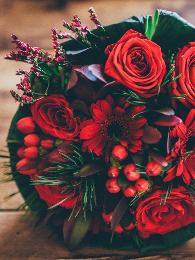 गुलाब के फूल में है वास्तु समाधान