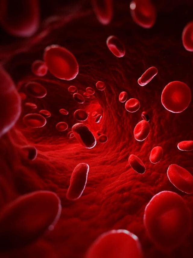 EMM Negative: भारत में मिला दुर्लभ ब्लड ग्रुप, गुजरात में रहता है देश का पहला और दुनिया 10वां व्यक्ति