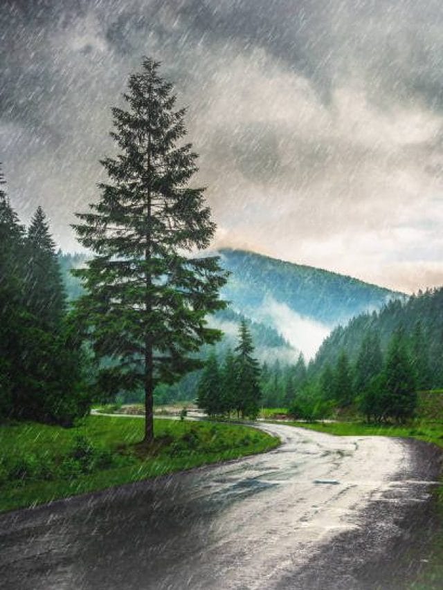 बदलते मौसम में सर्दी-जुकाम से कैसे रहें दूर, अपनाएं ये टिप्स