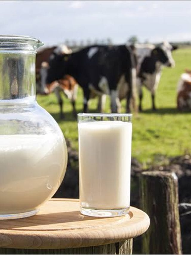 इन चीजों को खाने के बाद की दूध पीने की गलती
