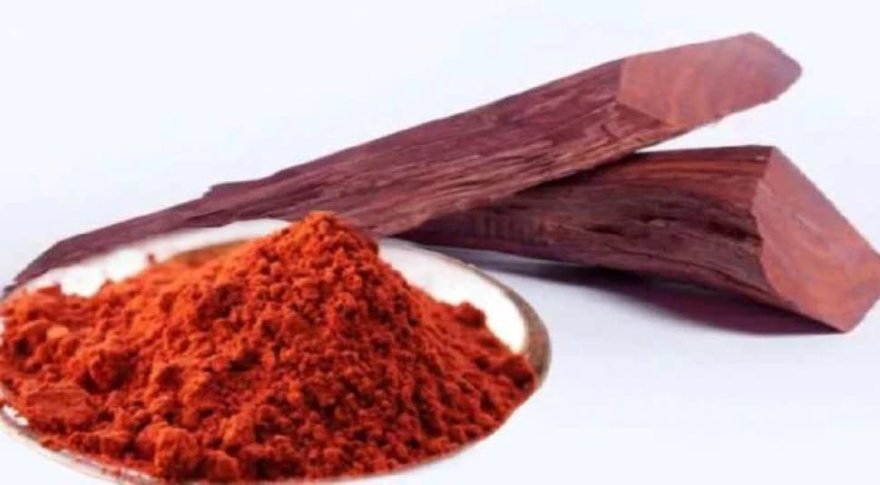 Remove blemishes, acne by using red sandalwood | Skin Care : क्या स्किन पर हो रहे हैं दाग-धब्बे, मुंहासे? लाल चंदन के इस्तेमाल से ऐसे करें दूर | Skin Care