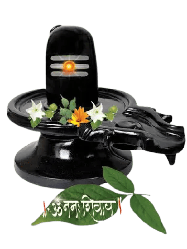 सावन के महीने में भूलकर भी न करें ये गलतियां