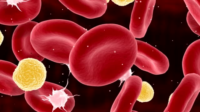 Cholesterol Level: शरीर में बढ़ जाए अगर कोलेस्ट्रॉल तो एक क्लिक में जानें क्या खाएं और क्या ना खाएं?
