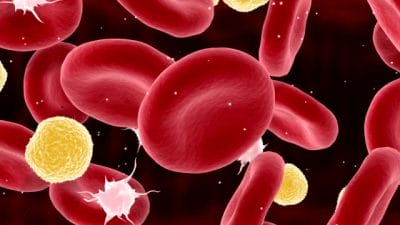 Cholesterol Level: शरीर में बढ़ जाए अगर कोलेस्ट्रॉल तो एक क्लिक में जानें क्या खाएं और क्या ना खाएं?