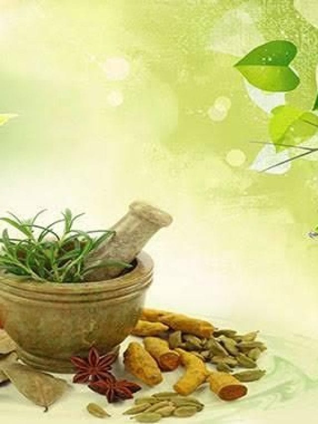 यहाँ मंकीपॉक्स के रोगियों के लिए आयुर्वेदिक डॉक्टरों द्वारा दिए गए सुझाव दिए गए हैं