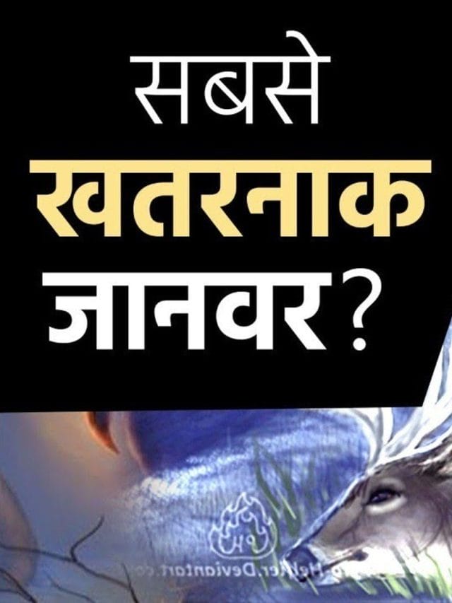 ये हैं  दुनिया के सबसे खतरनाक जानवर…