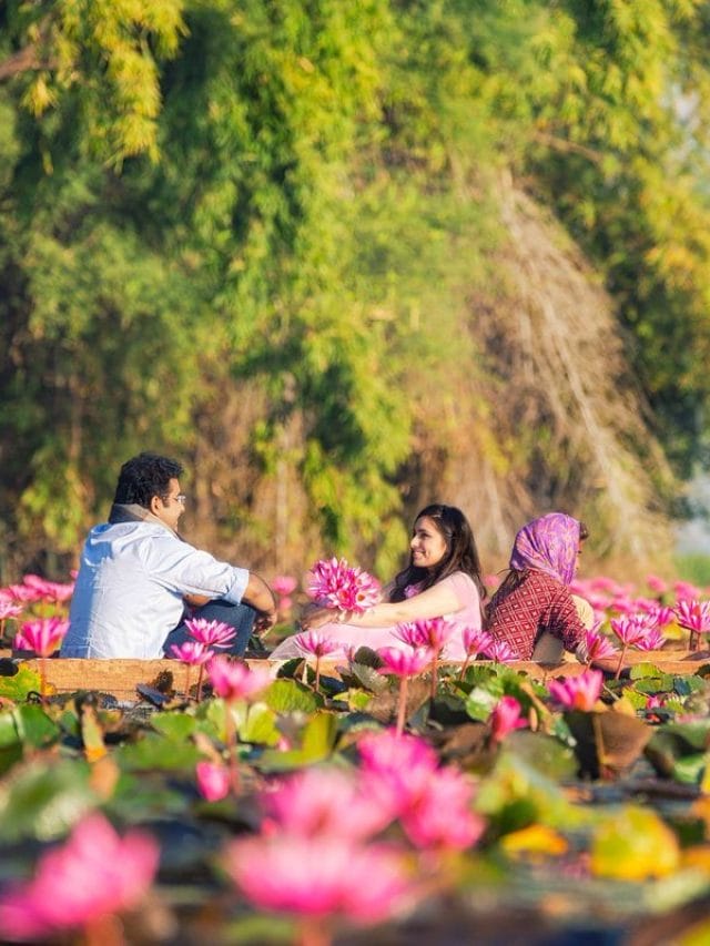 देखें Indore Lotus Valley के नजारे, कन्याकुमारी से भी ज्यादा है खूबसूरत