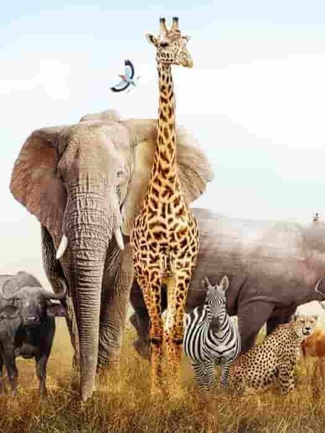 जिव-जन्तुओ से जुड़े  गजब रोचक तथ्य