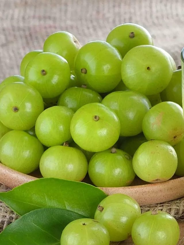 100 रोगों की एक दवा आंवला!