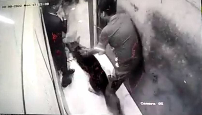 गाजियाबाद के बाद अब नोएडा में लिफ्ट के अंदर कुत्ते ने डिलिवरी बॉय को काटा, देखे वीडियो