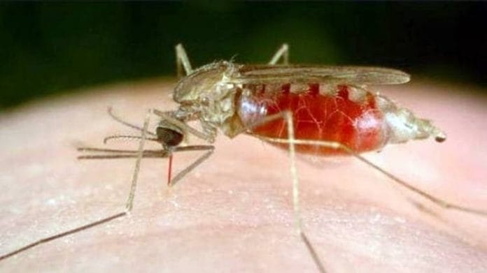 मलेरिया से बचना है तो मच्छर से रहें सावधान, हो सकता है जानलेवा