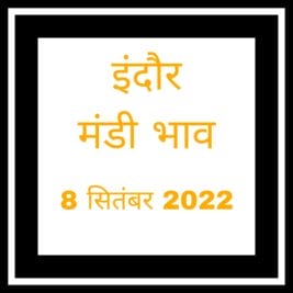 Mandi Bhav: इंदौर में आज इतना रहा अनाज का दाम, देखें 8 सितंबर 2022 का मंडी भाव
