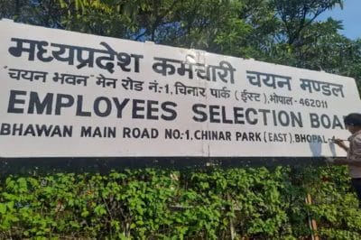 MPPEB MPESB 2023 : उम्मीदवारों के लिए बड़ी खबर, बढ़ाई गई पदों की संख्या, 3047 पदों पर होगी भर्ती, 6 मार्च से शुरू होंगे आवेदन, जानें पात्रता और नियम