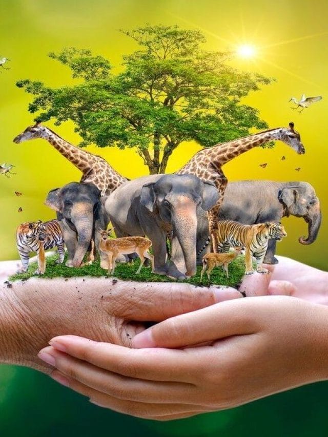 World Animal Day 2022: क्‍यों मनाया जाता है वर्ल्‍ड एनिमल डे? जानें इसका इतिहास