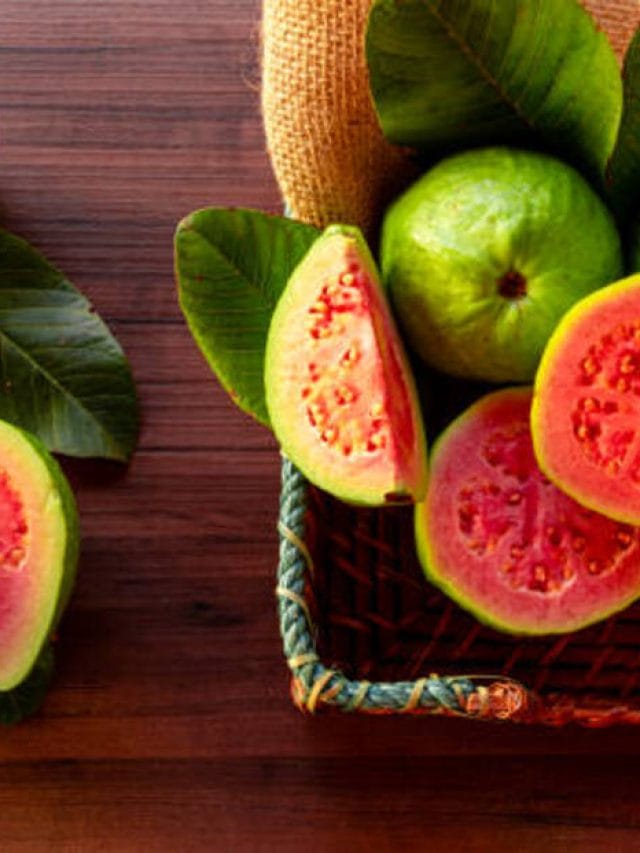 Guava Benefits: सर्दियों में अमरूद खाने से होते हैं जबरदस्त फायदे, जानें