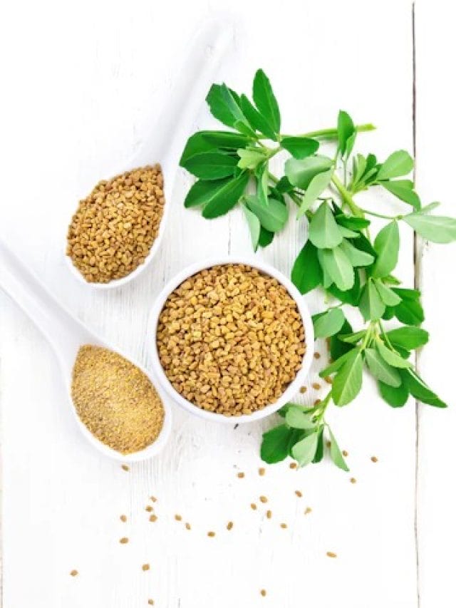 Fenugreek Benefits