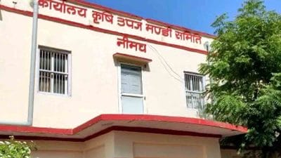 फिर जल्द शुरू होगी नीमच की पोस्ता मंडी, इन नियमों का पालन होगा जरूरी