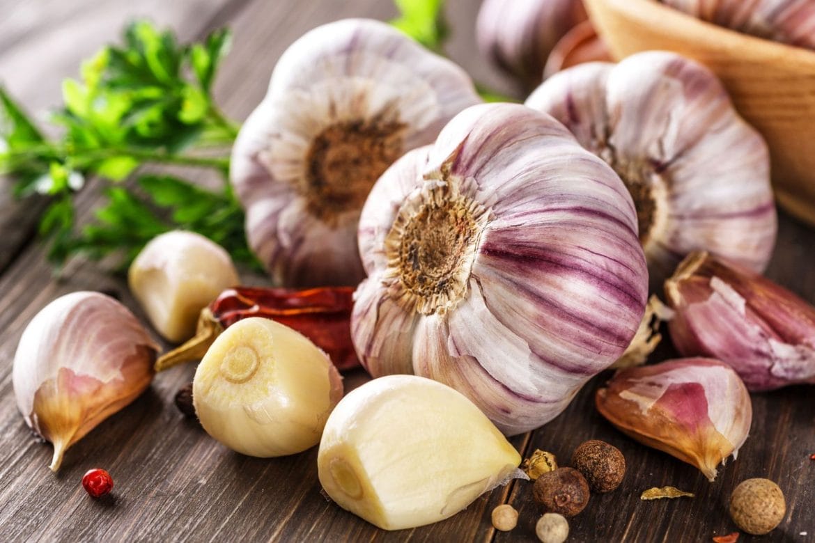 Garlic Benefits: ठंड में खुद को रखना है फिट तो लहसुन है फायदेमंद, जानें इसे खाने के फायदे