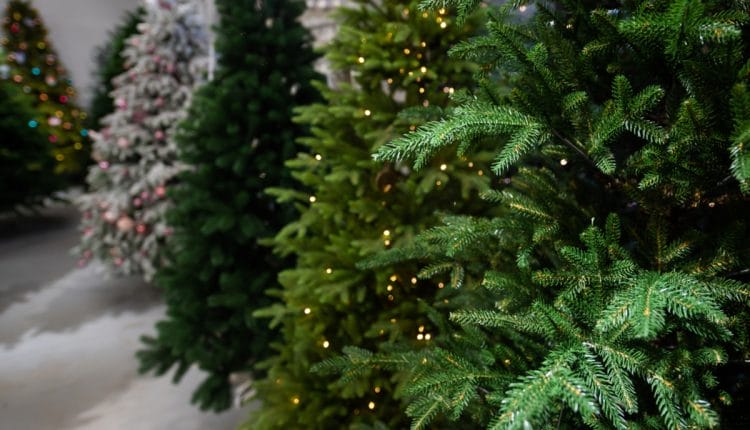 Christmas Tree Vastu Tips