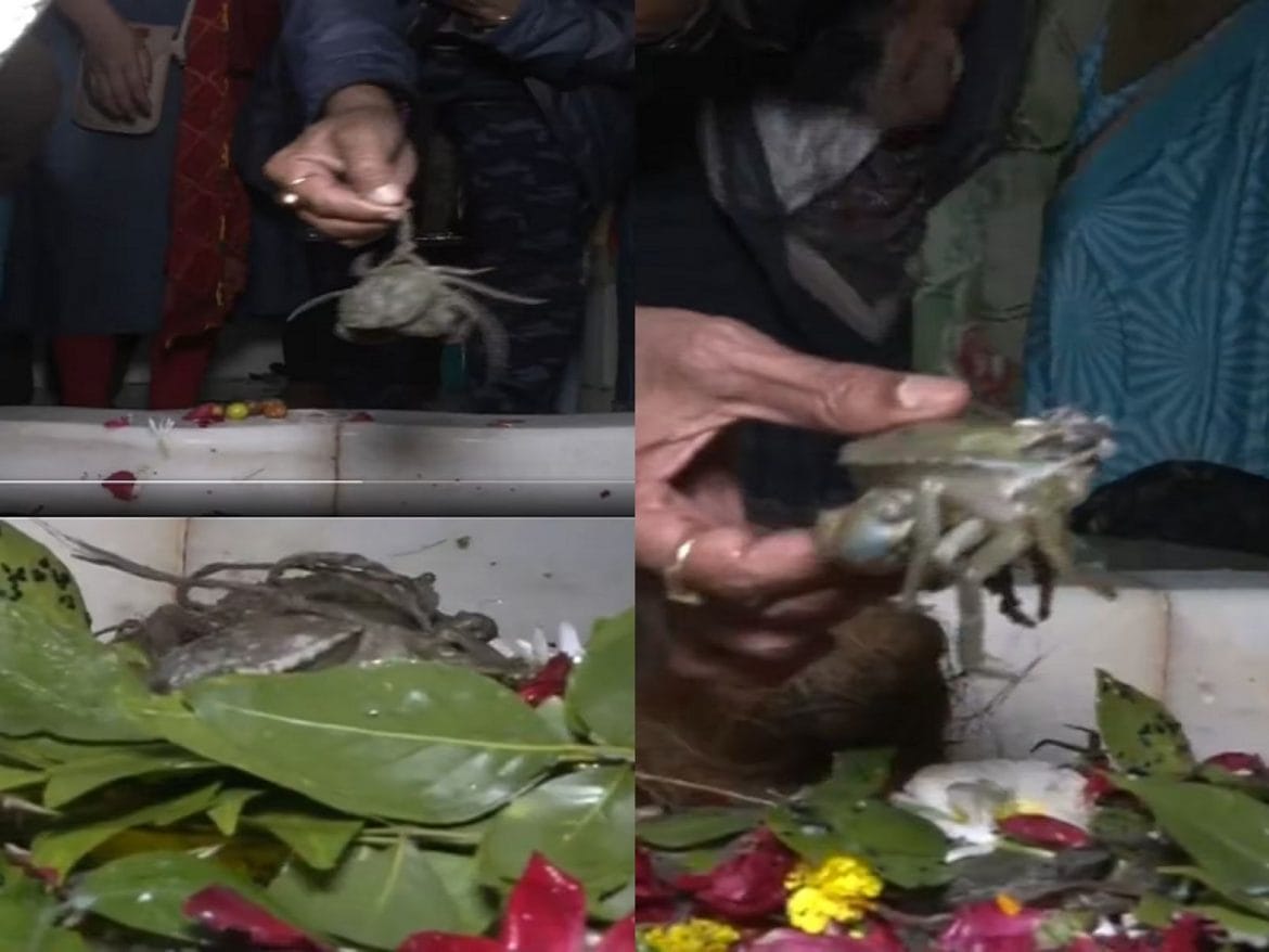 Crabs at Shiva Temple: भारत का एक ऐसा मंदिर, जहां भगवान शिव को चढ़ाया जाता है जिंदा केकड़ा, देखें Video