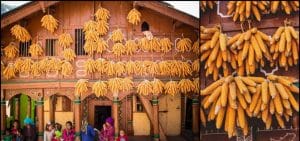 Corn Village