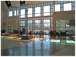 Weird Schools Of World