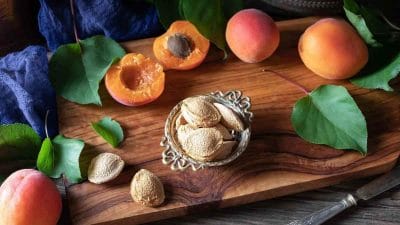 Khubani Benefits: जानिए खुबानी खाने के अनेकों फायदे, वजन घटाने से लेकर आंखों के लिए होता है फायदेमंद