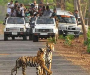 National Park, Wildlife Sanctuary